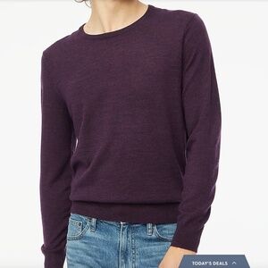 J Crew Men's Cotton Crewneck Sweater Tee in Eggplant, size L, NWT